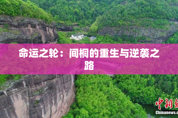 命运之轮：间桐的重生与逆袭之路