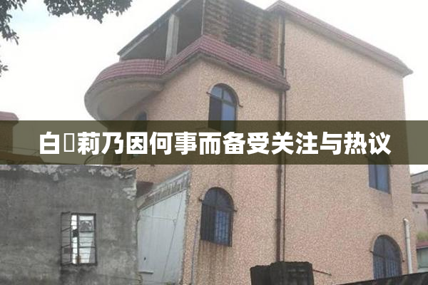 白咲莉乃因何事而备受关注与热议