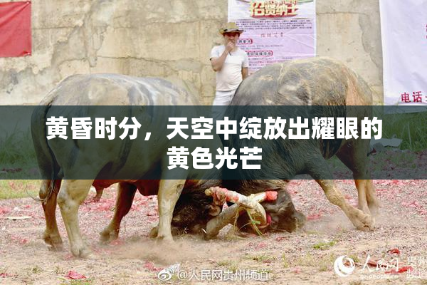 黄昏时分，天空中绽放出耀眼的黄色光芒