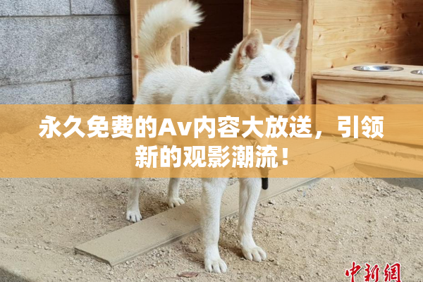 永久免费的Av内容大放送，引领新的观影潮流！