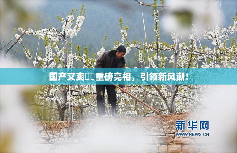 国产又爽❌‌重磅亮相，引领新风潮！