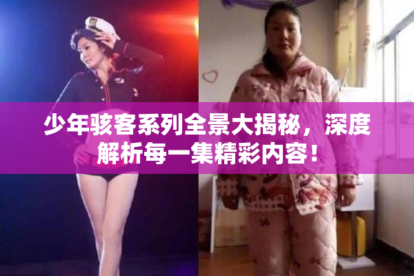 少年骇客系列全景大揭秘，深度解析每一集精彩内容！