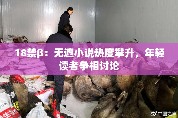 18禁β：无遮小说热度攀升，年轻读者争相讨论