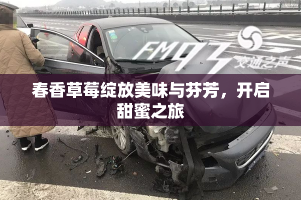 春香草莓绽放美味与芬芳，开启甜蜜之旅