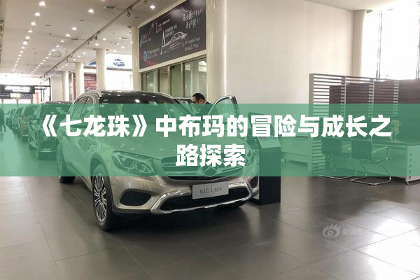 《七龙珠》中布玛的冒险与成长之路探索