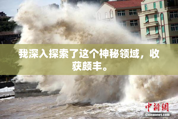 我深入探索了这个神秘领域，收获颇丰。