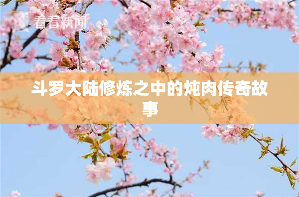 斗罗大陆修炼之中的炖肉传奇故事