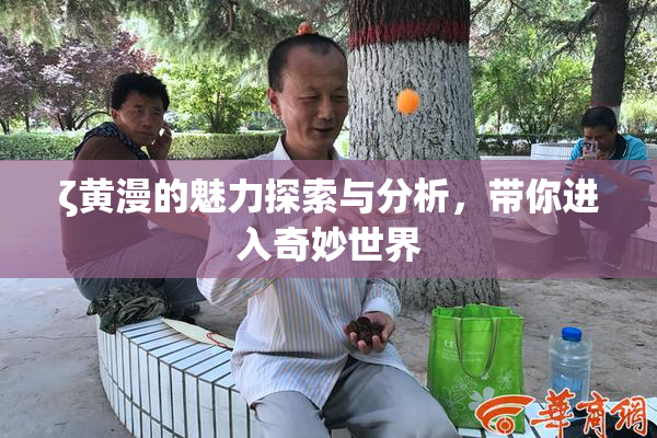 ζ黄漫的魅力探索与分析，带你进入奇妙世界