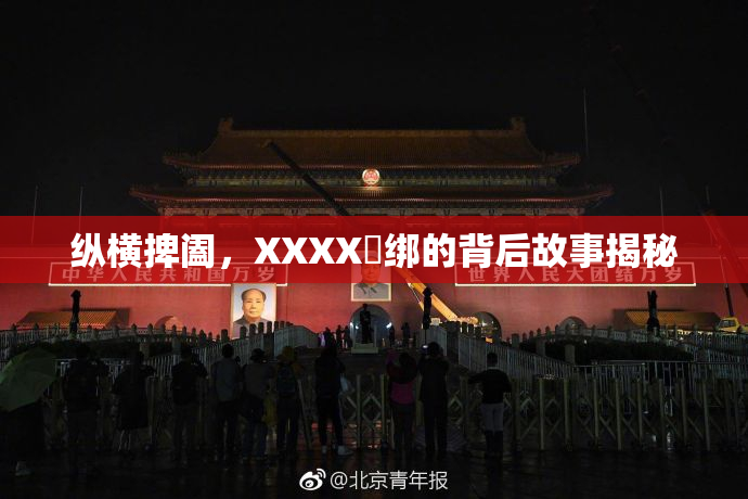 纵横捭阖，XXXX秵绑的背后故事揭秘