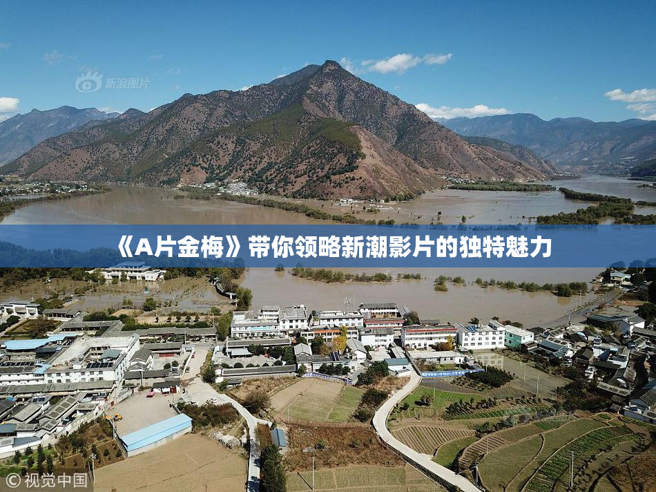 《A片金梅》带你领略新潮影片的独特魅力