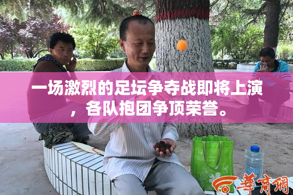 一场激烈的足坛争夺战即将上演，各队抱团争顶荣誉。