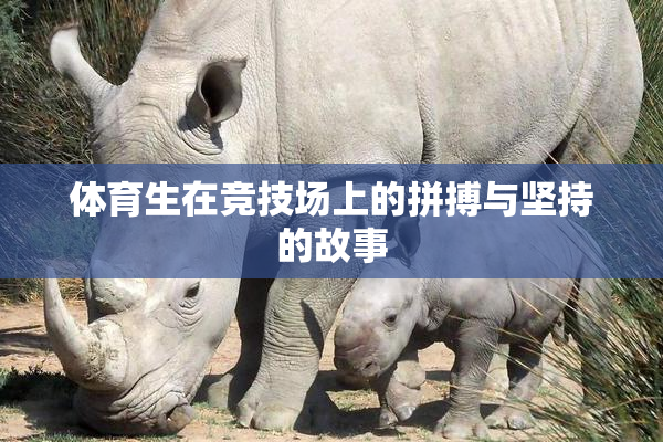 体育生在竞技场上的拼搏与坚持的故事