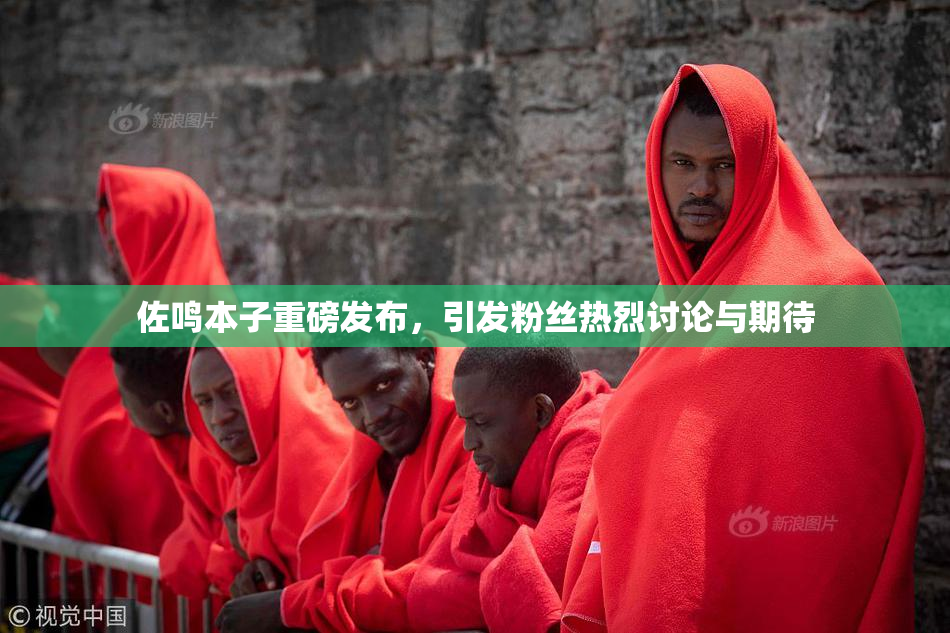 佐鸣本子重磅发布，引发粉丝热烈讨论与期待
