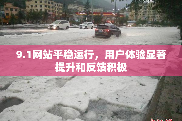 9.1网站平稳运行，用户体验显著提升和反馈积极