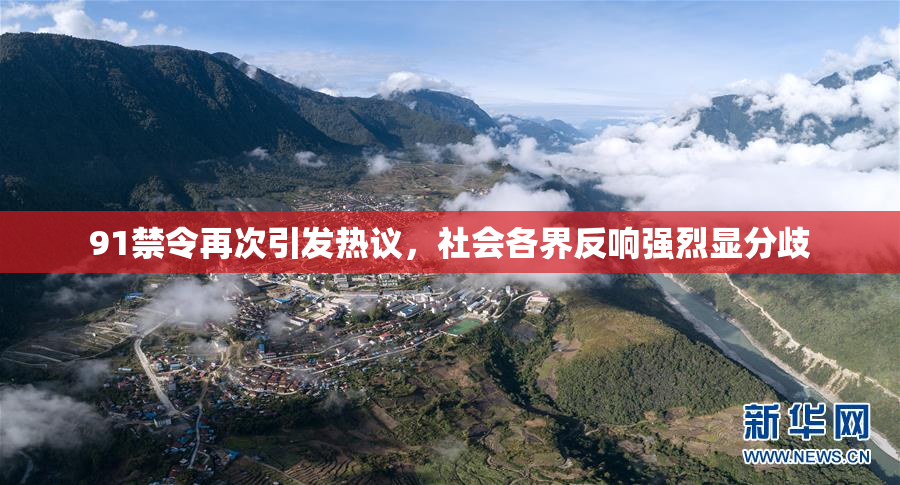 91禁令再次引发热议，社会各界反响强烈显分歧