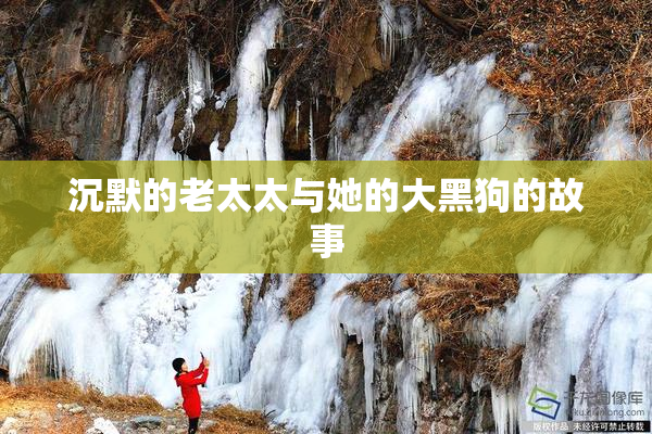 沉默的老太太与她的大黑狗的故事