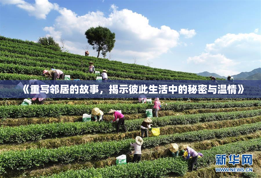 《重写邻居的故事，揭示彼此生活中的秘密与温情》