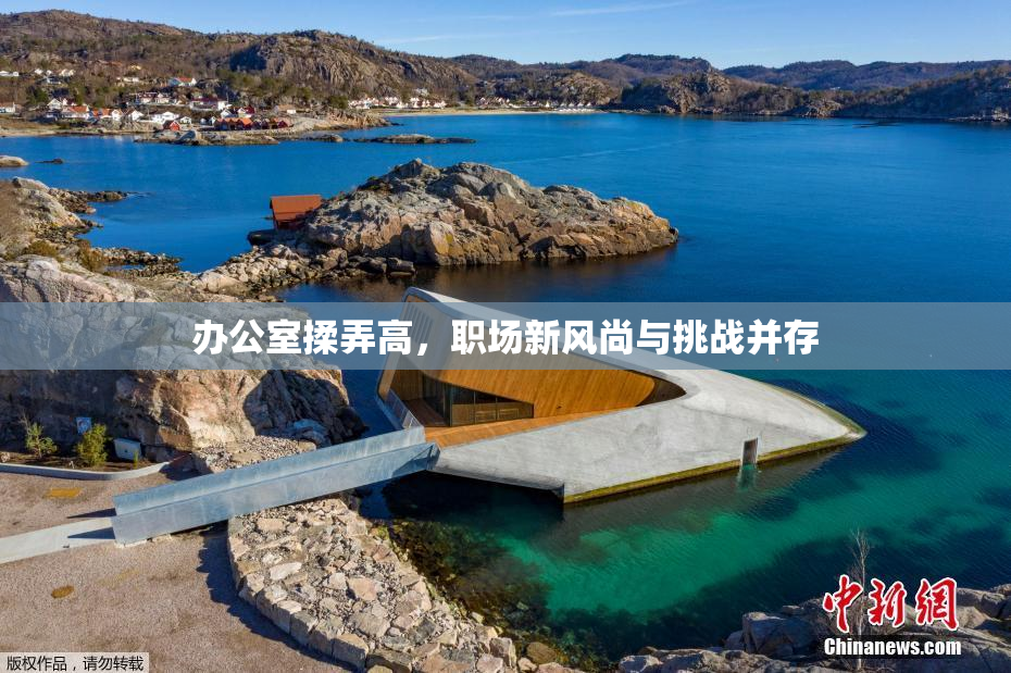 办公室揉弄高，职场新风尚与挑战并存