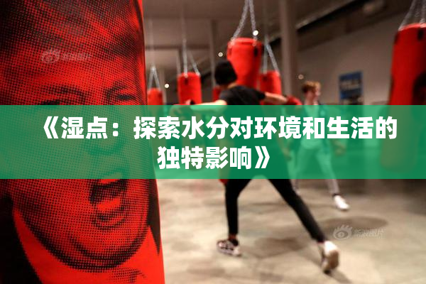 《湿点：探索水分对环境和生活的独特影响》