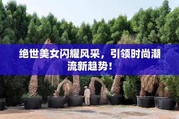 绝世美女闪耀风采，引领时尚潮流新趋势！