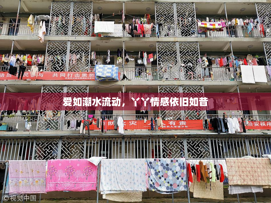 爱如潮水流动，丫丫情感依旧如昔