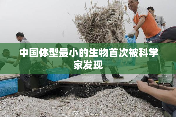 中国体型最小的生物首次被科学家发现