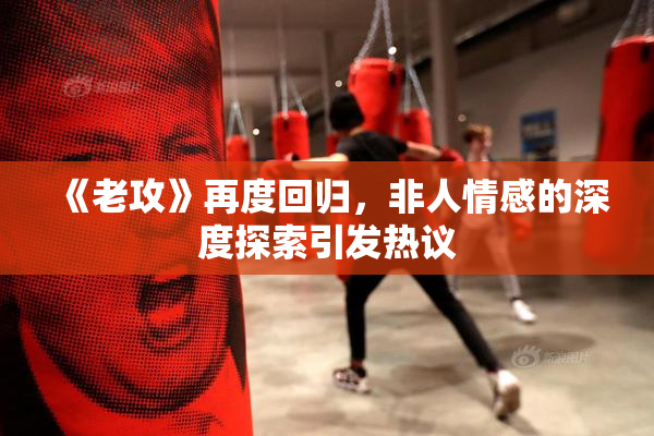 《老攻》再度回归，非人情感的深度探索引发热议