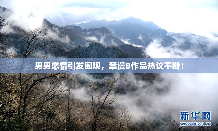 男男恋情引发围观，禁漫B作品热议不断！
