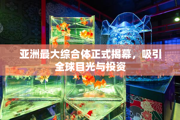 亚洲最大综合体正式揭幕，吸引全球目光与投资