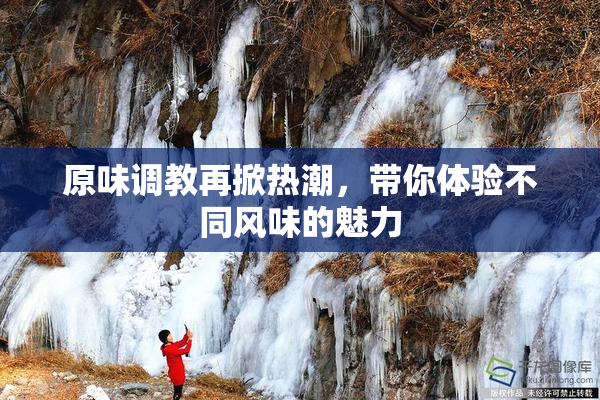 原味调教再掀热潮，带你体验不同风味的魅力