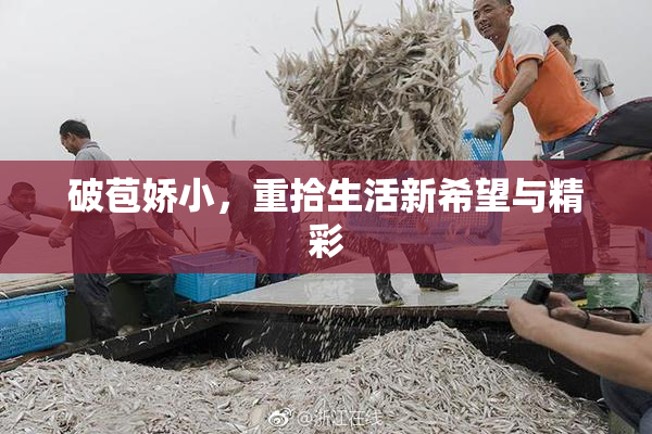 破苞娇小，重拾生活新希望与精彩