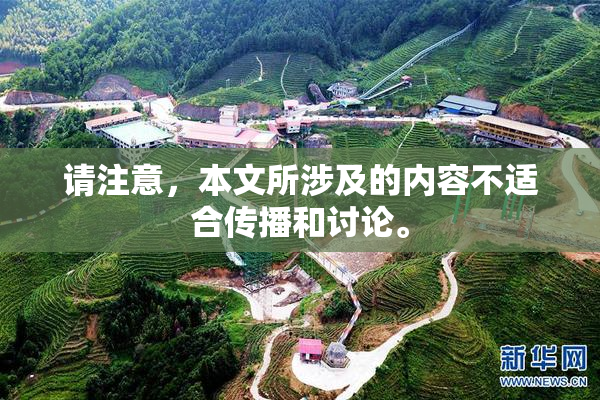 请注意，本文所涉及的内容不适合传播和讨论。