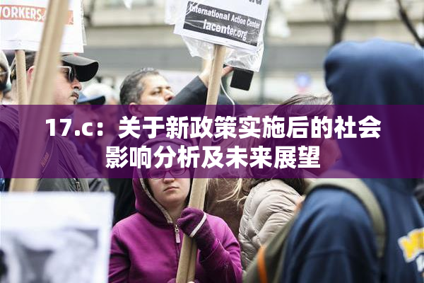 17.c：关于新政策实施后的社会影响分析及未来展望