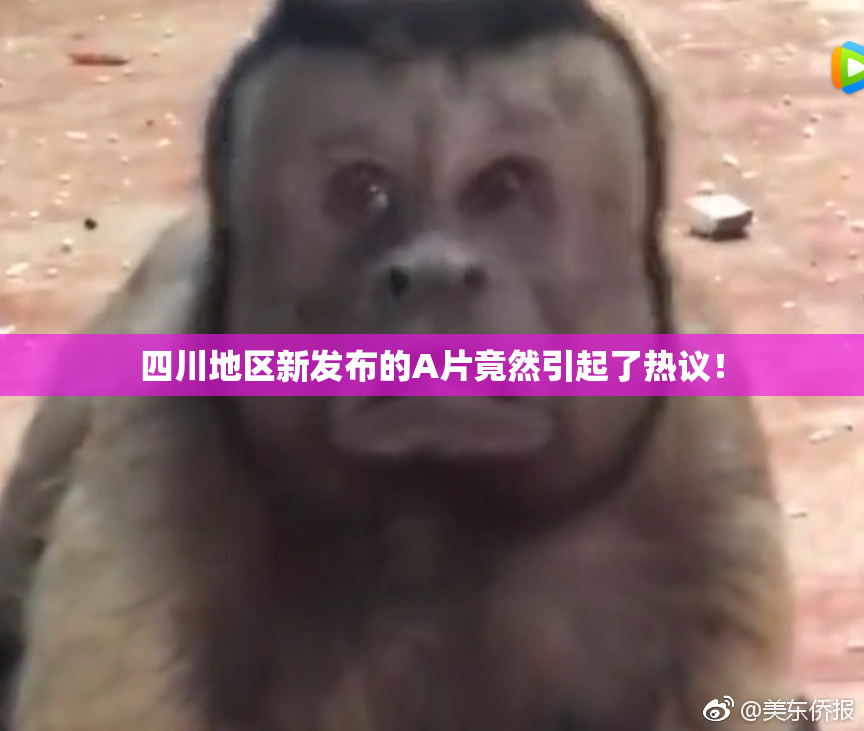 四川地区新发布的A片竟然引起了热议！