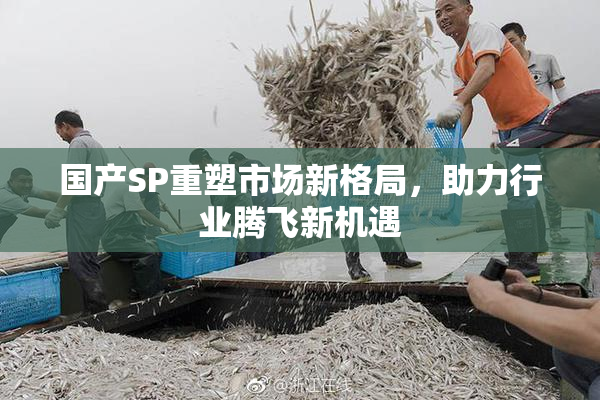 国产SP重塑市场新格局，助力行业腾飞新机遇
