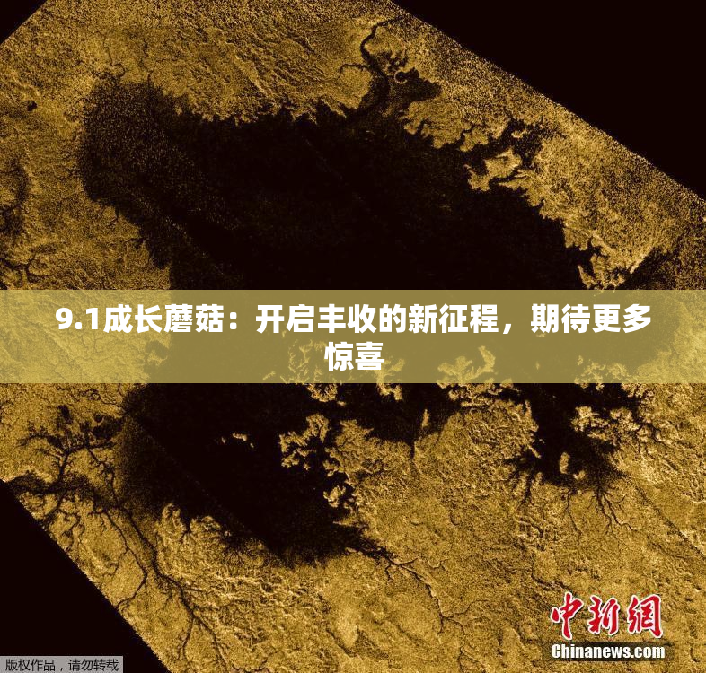 9.1成长蘑菇：开启丰收的新征程，期待更多惊喜