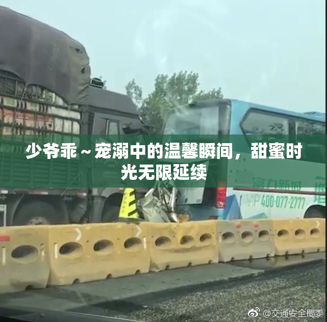 少爷乖～宠溺中的温馨瞬间，甜蜜时光无限延续