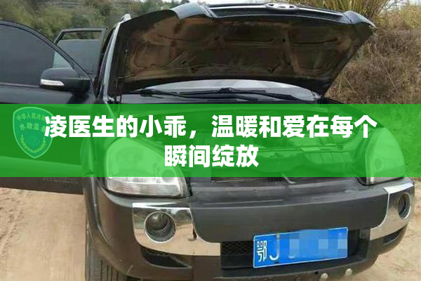 凌医生的小乖，温暖和爱在每个瞬间绽放