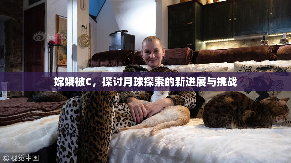 嫦娥被C，探讨月球探索的新进展与挑战