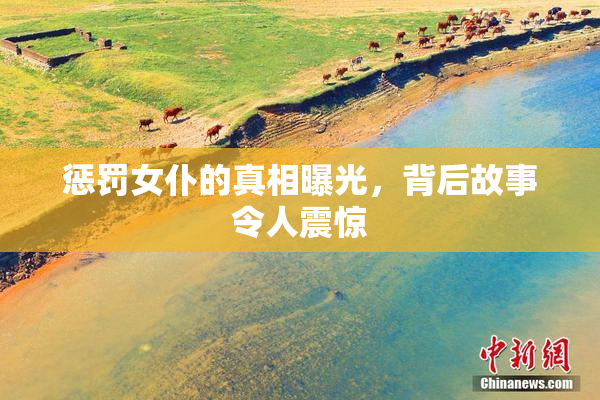 惩罚女仆的真相曝光，背后故事令人震惊
