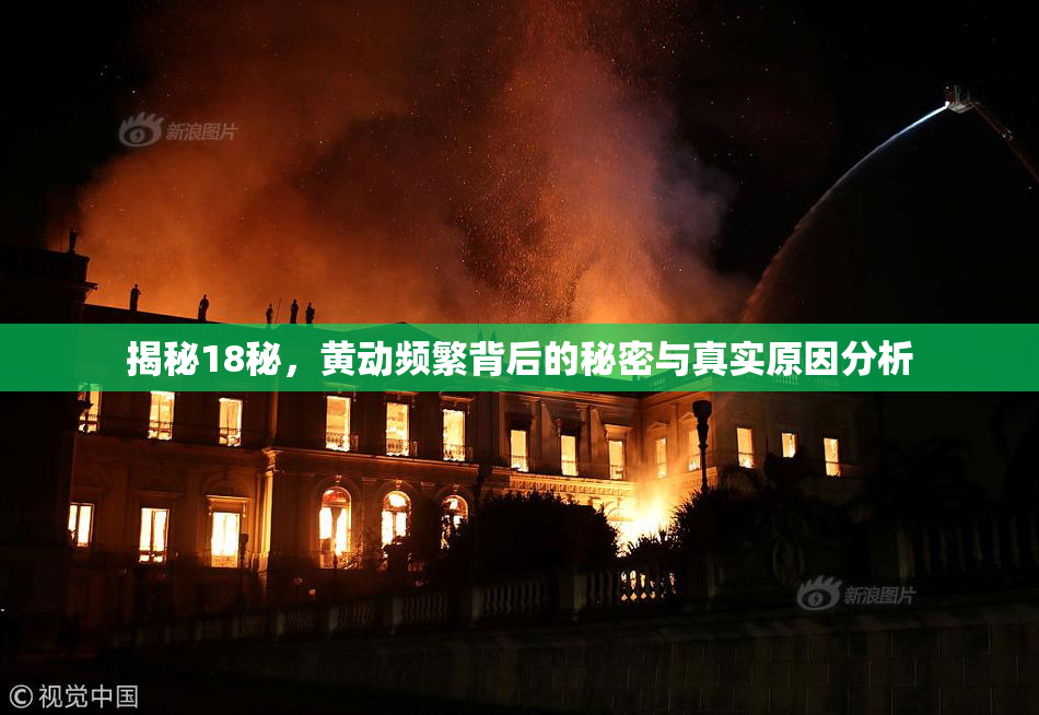 揭秘18秘，黄动频繁背后的秘密与真实原因分析