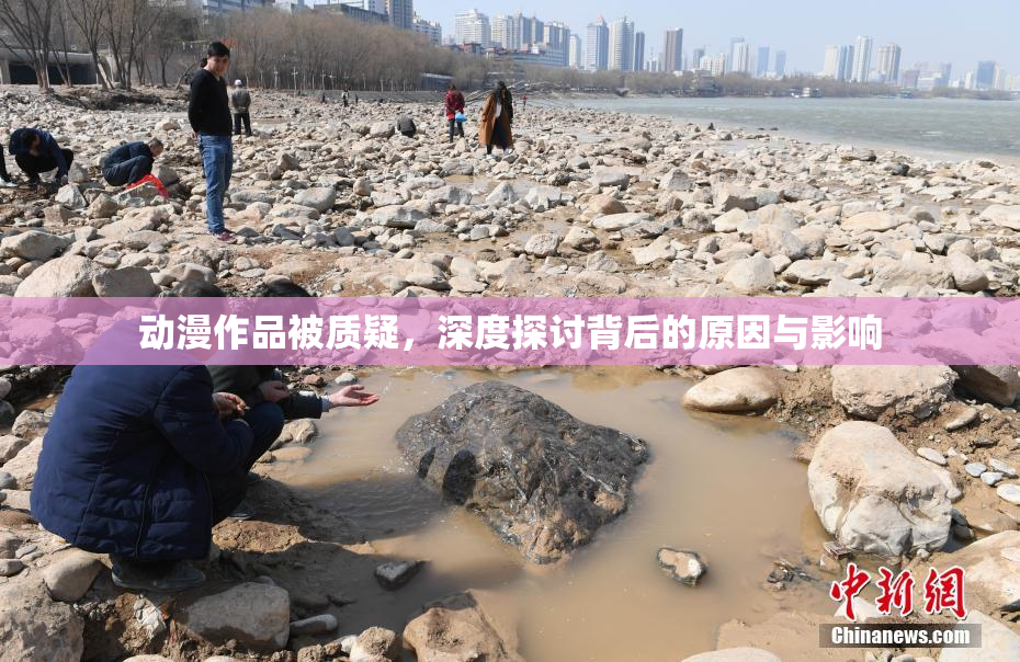 动漫作品被质疑，深度探讨背后的原因与影响
