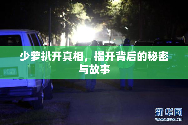 少萝扒开真相，揭开背后的秘密与故事