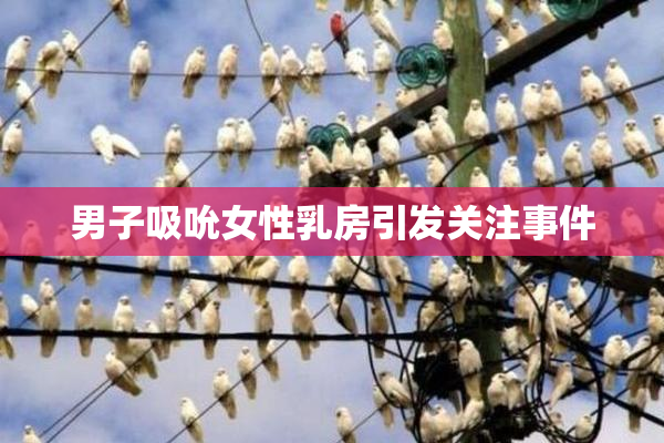 男子吸吮女性乳房引发关注事件