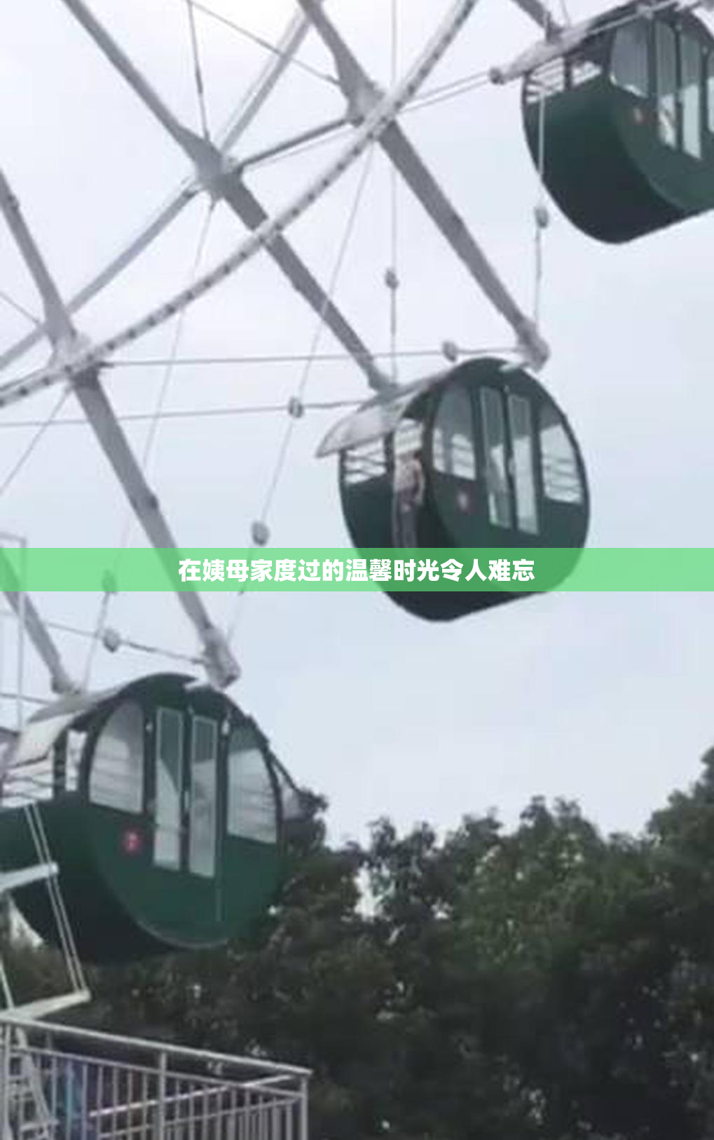 在姨母家度过的温馨时光令人难忘