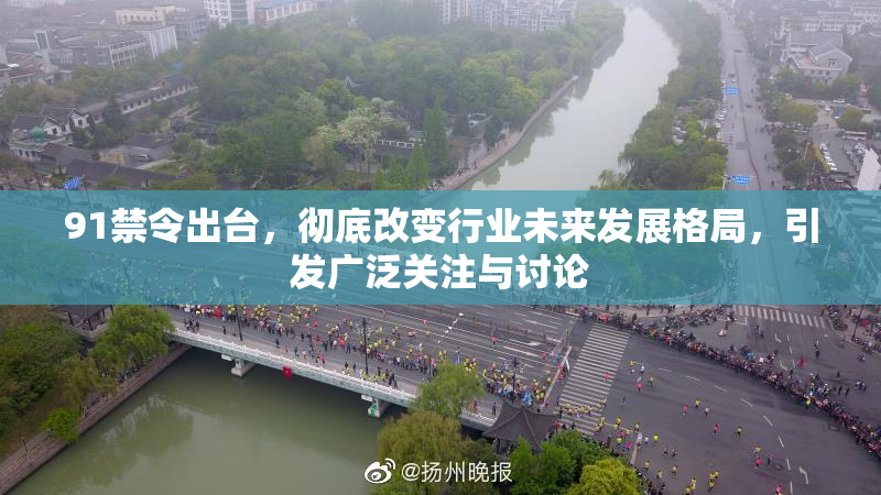 91禁令出台，彻底改变行业未来发展格局，引发广泛关注与讨论
