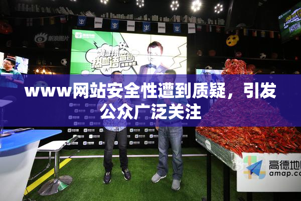 www网站安全性遭到质疑，引发公众广泛关注