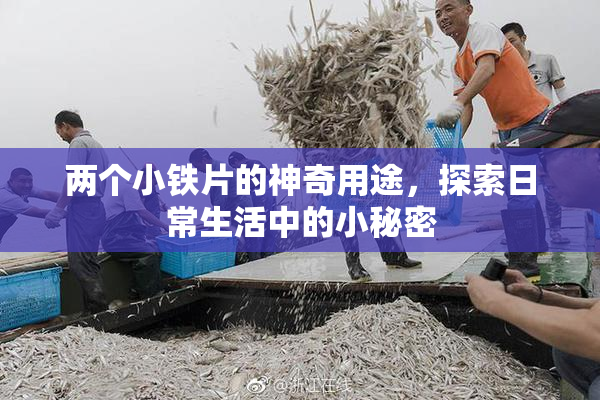 两个小铁片的神奇用途，探索日常生活中的小秘密