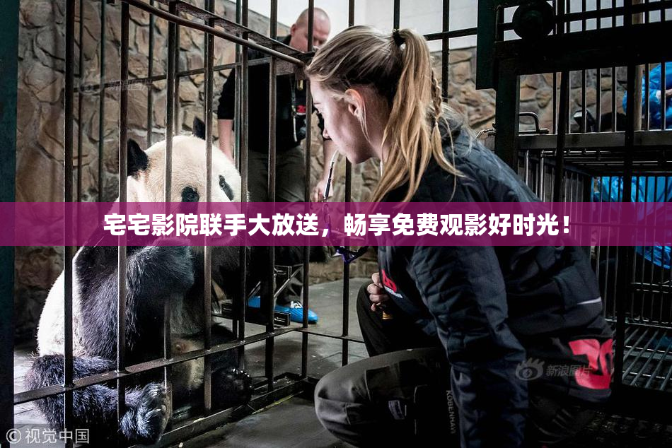 宅宅影院联手大放送，畅享免费观影好时光！