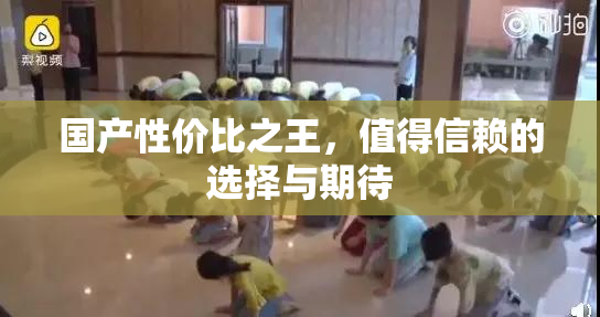 国产性价比之王，值得信赖的选择与期待